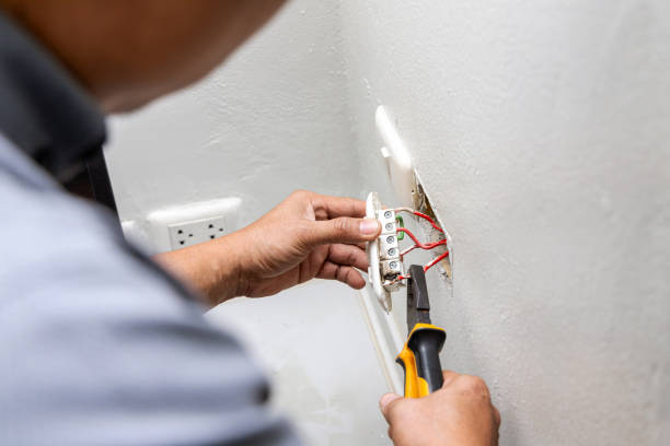 Best Electric Panel Repair  in Jordan, NY